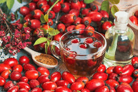 Kuşburnu